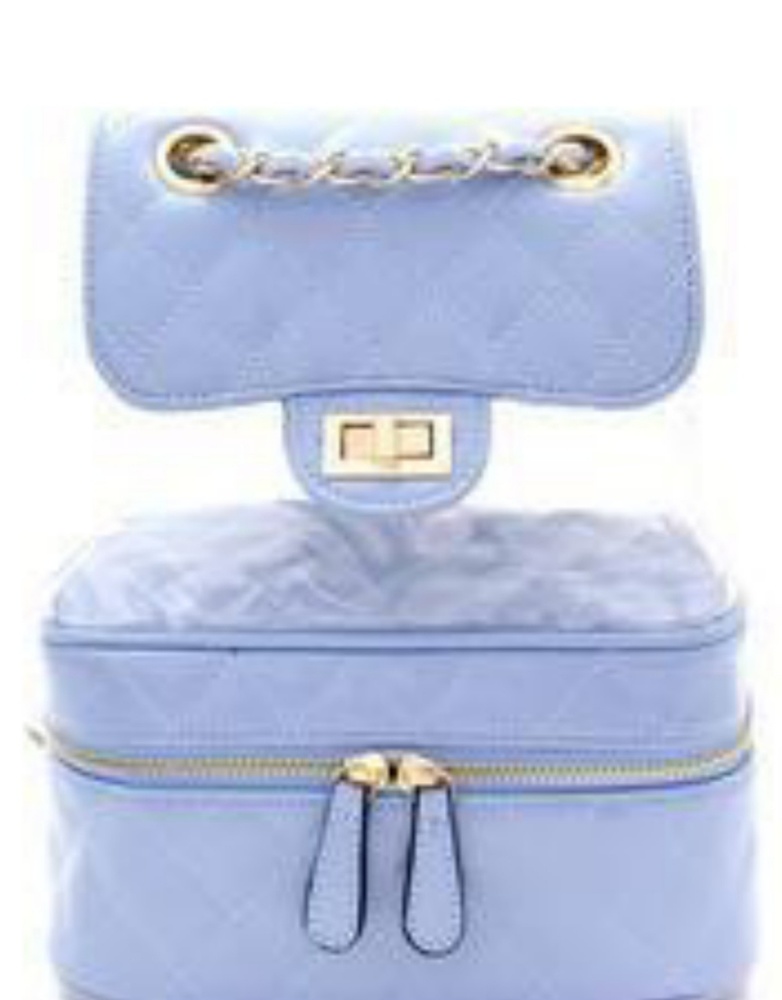 Back pack Purse